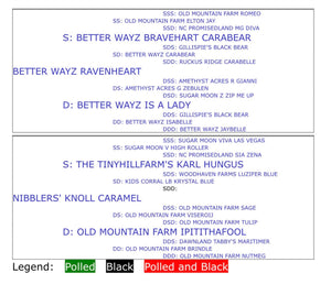 ADGA Nigerian Dwarf Buckling S2 Better Wayz Ravenheart/Nibblers' Knoll Caramel $350